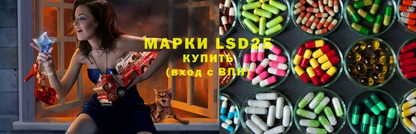 гашик Алзамай