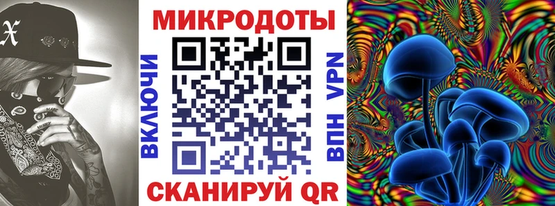 Галлюциногенные грибы Psilocybe  hydra зеркало  Боровск 